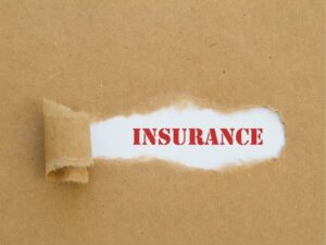 Nationwide Pet Insurance: What You Need to Know