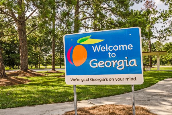 Georgia insurance guide