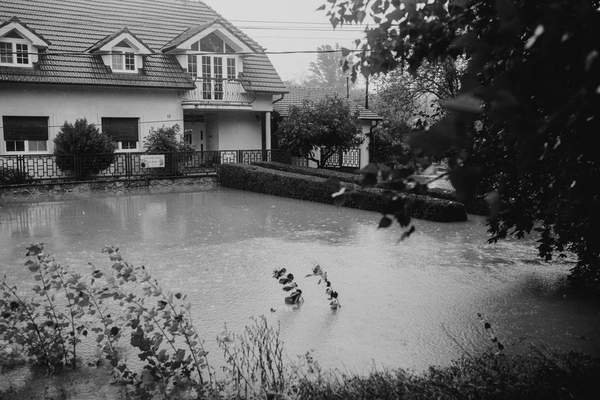 flood insurance vs homeowners policy